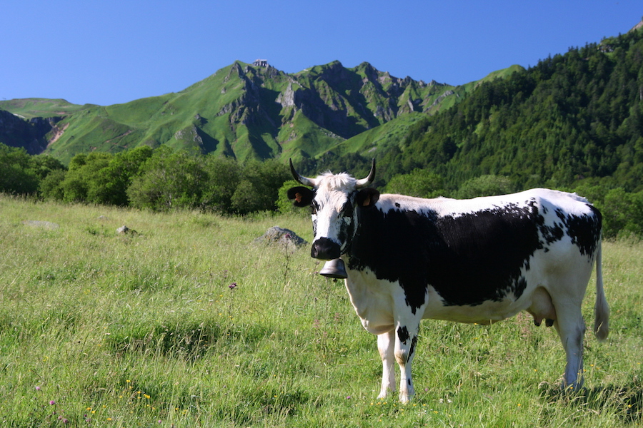 paysages-d-ici-et-d-ailleurs